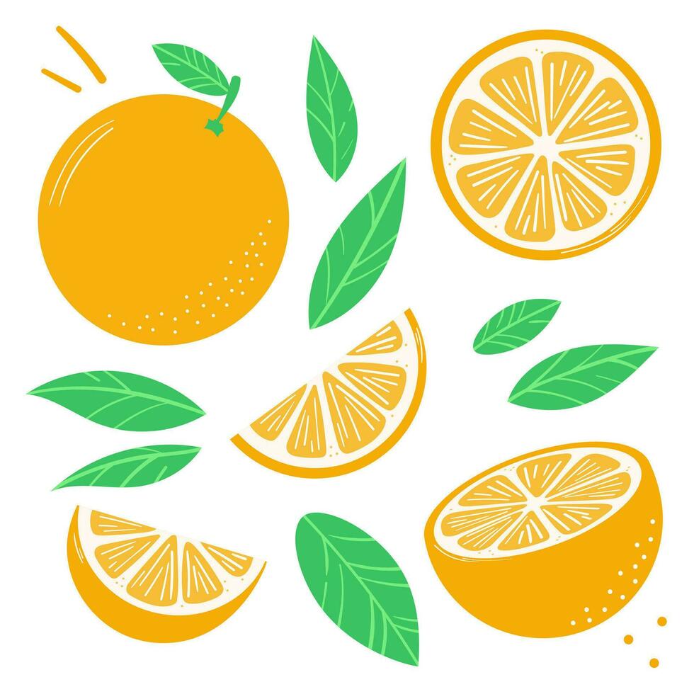 orange klämma konst vektor illustration uppsättning med löv