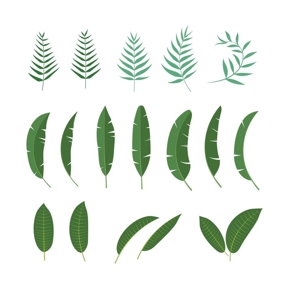 tropisches Blatt Vektor Icon Design Illustration