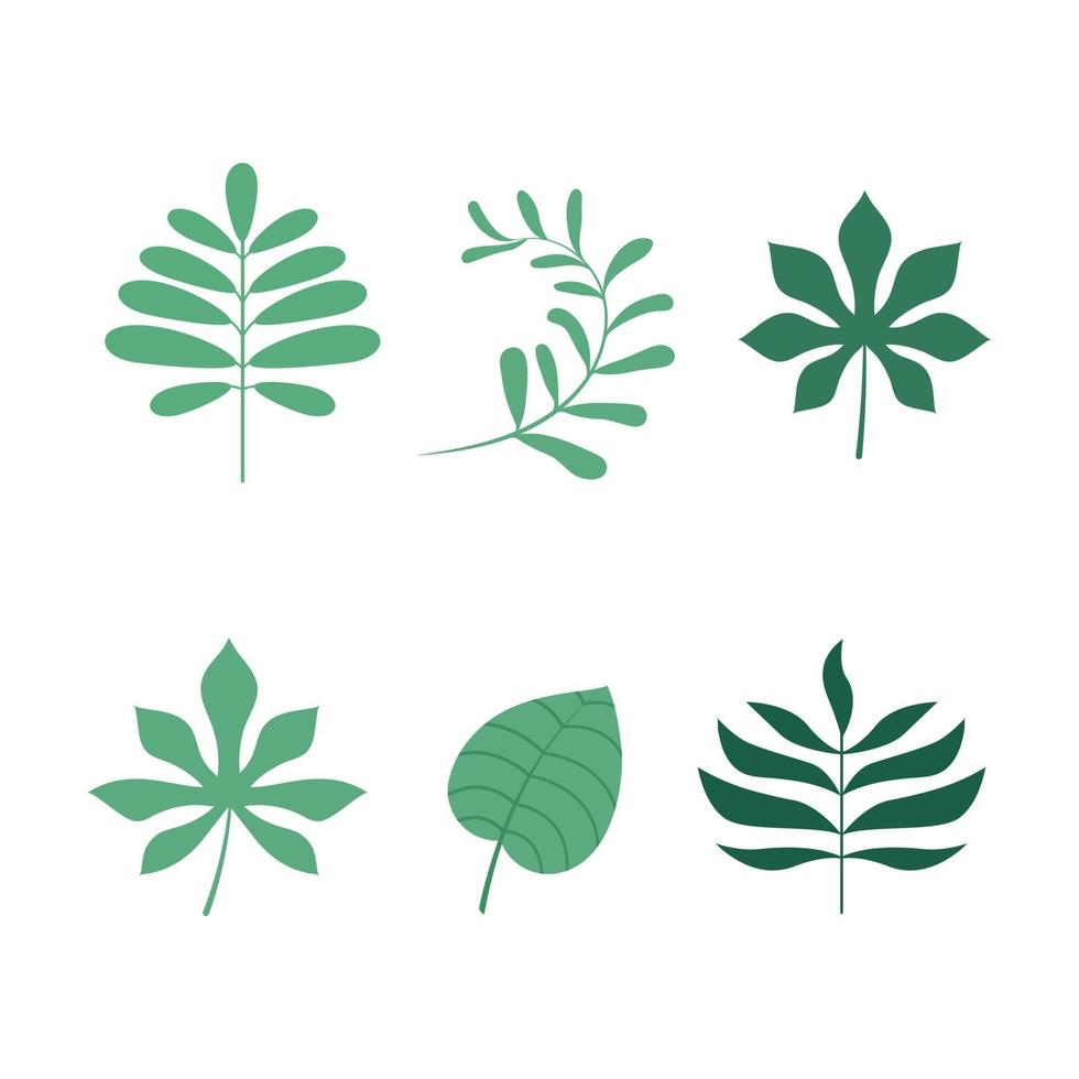 tropiska blad vektor ikon design illustration