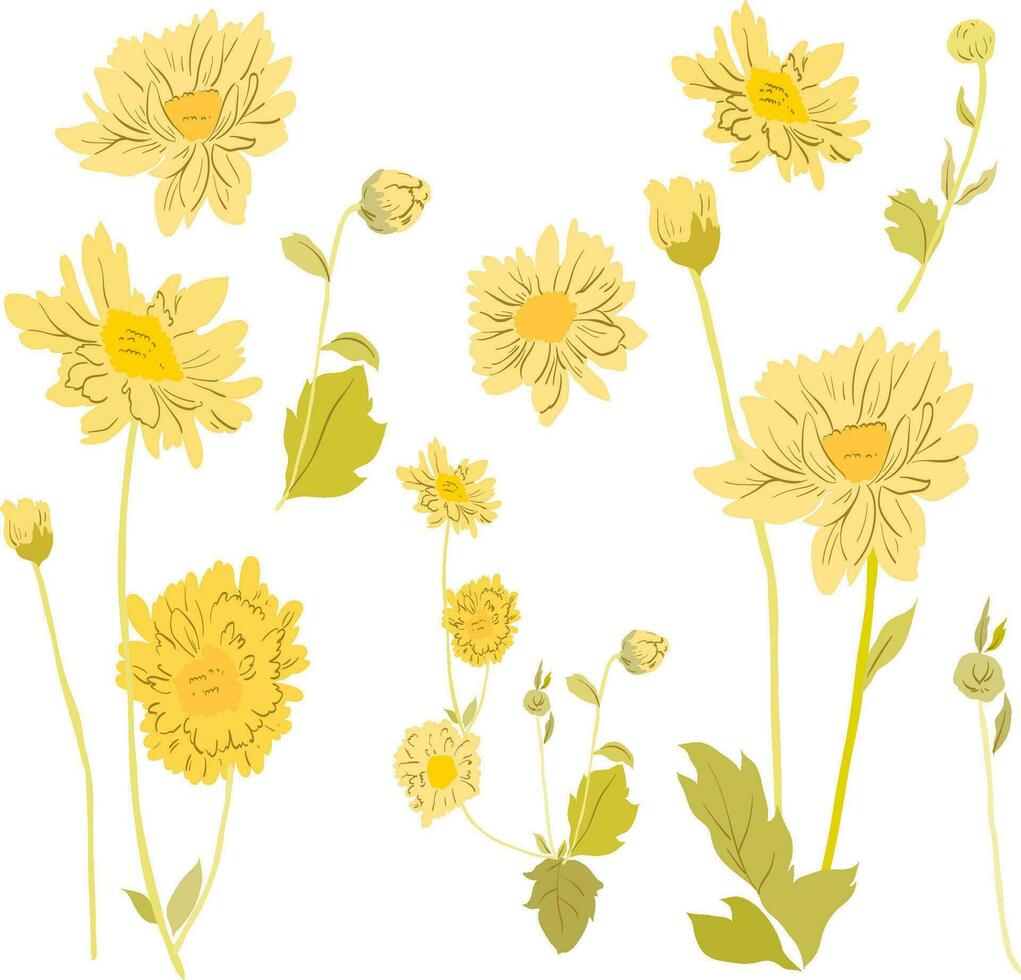 Gelb Blumen- Muster mit Kunst natürlich Objekt. Hand gezeichnet Blume Dekoration Dekoration Vektor. Chrysantheme Blume Elemente. vektor