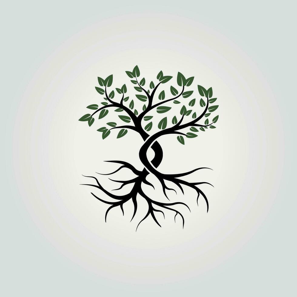 natürlich Baum Logo Konzept mit Wurzel Symbol Vektor Design, Illustration von das Baum Wachstum Prozess von Wurzeln zu Blätter