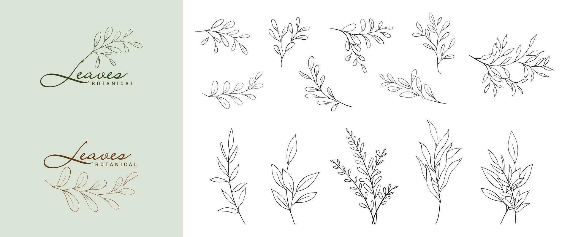 einstellen von minimalistisch botanisch Linie elegant Blätter Ast vektor