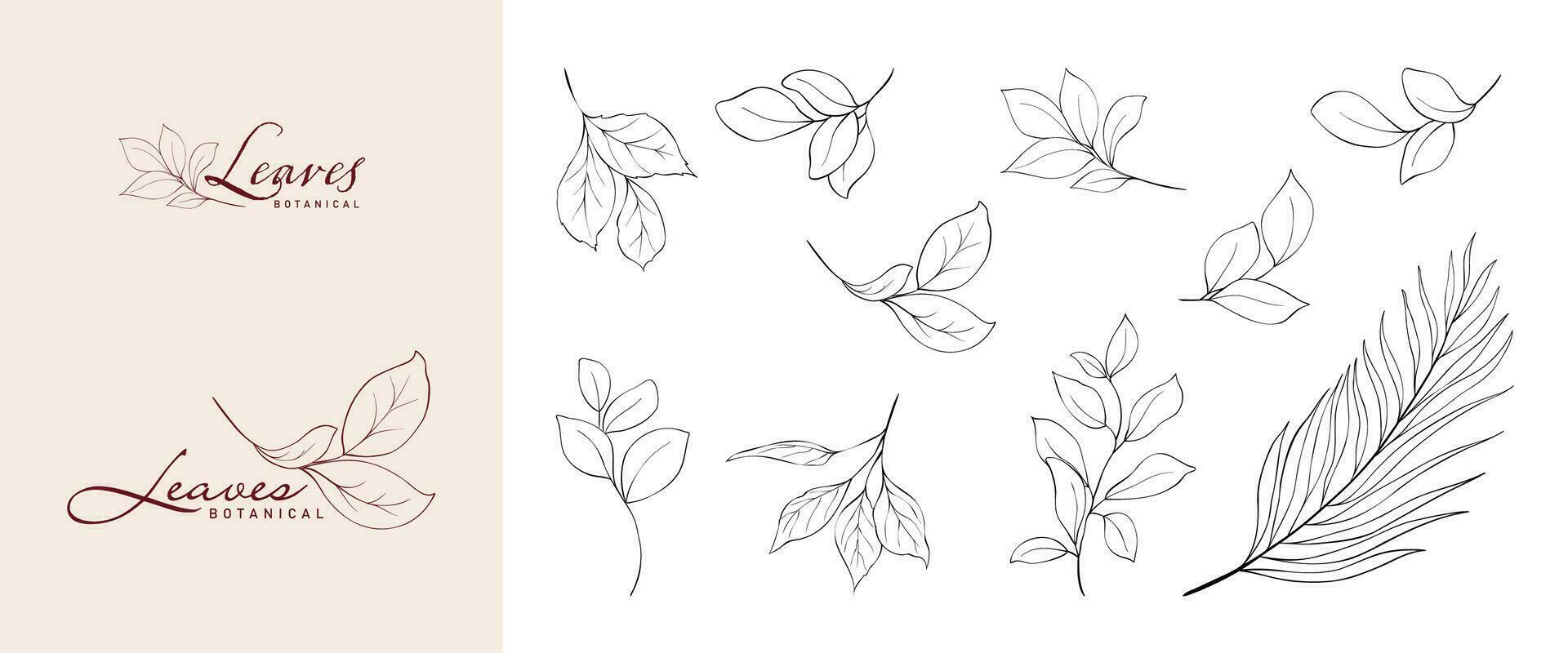 einstellen von minimalistisch botanisch Linie elegant Blätter Ast vektor