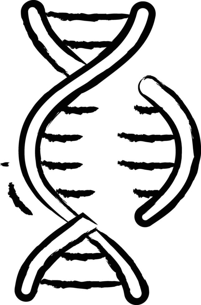 dna dela upp hand dragen vektor illustration