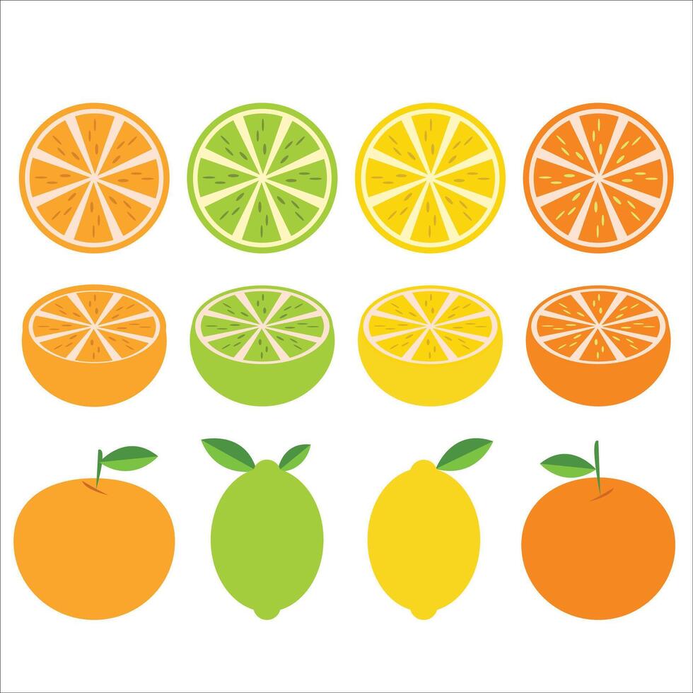 Zitrusfrüchte Obst Design Clip Art einstellen vektor