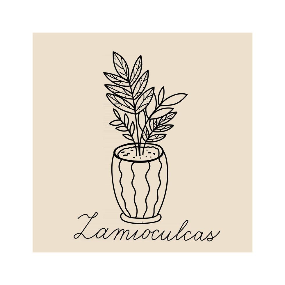 Hand gezeichnete Illustration der Pflanze zamioculcas vektor