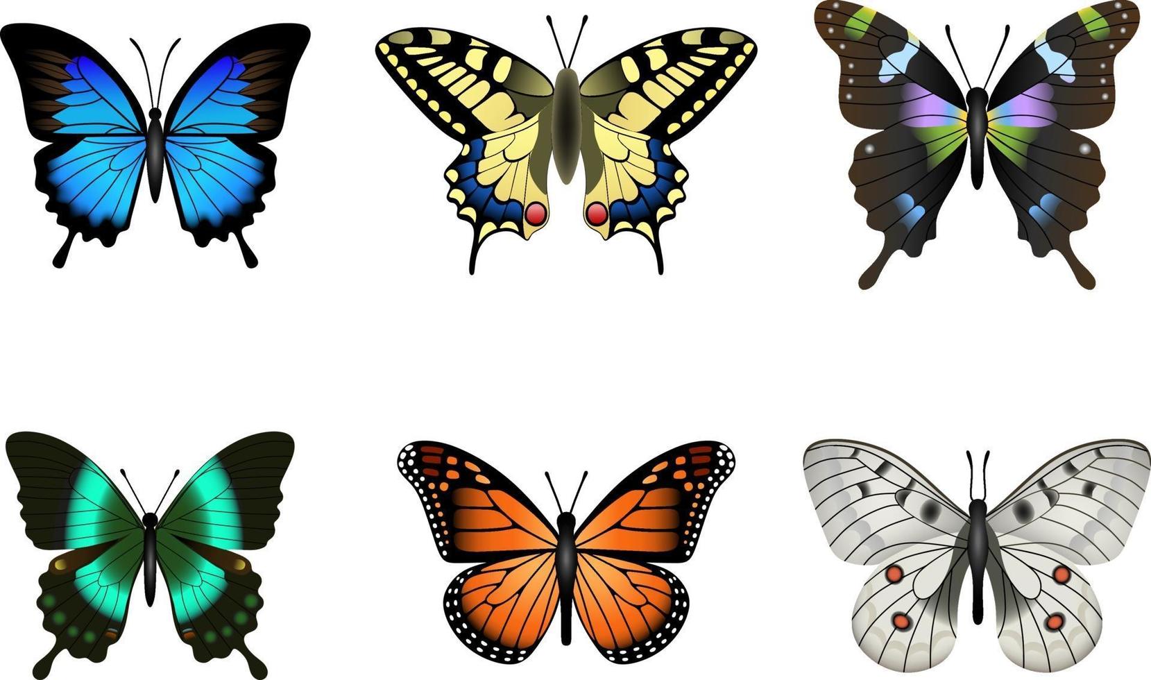 uppsättning färgglada isolerade fjärilar vektor