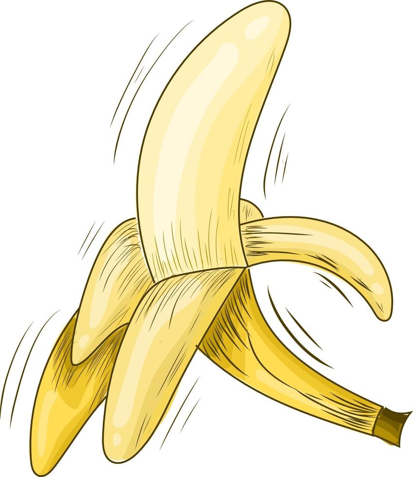 Banane Illustration Skizze Stil. handgezeichnete Banane. gelbe Banane vektor