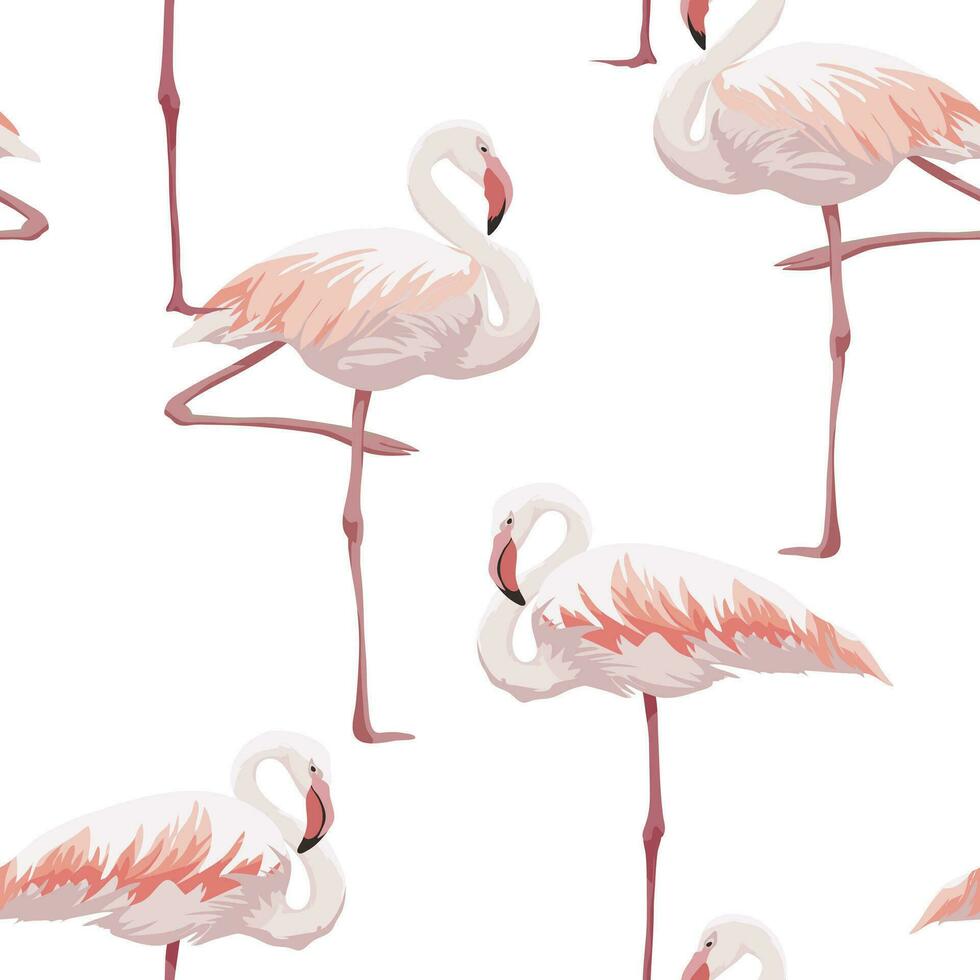 sömlös mönster av rosa flamingos på vit bakgrund vektor