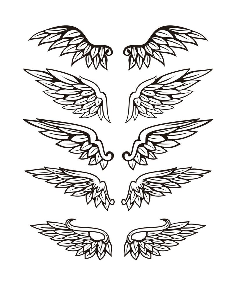 Illustration des Flügelsammlungssatzes vektor