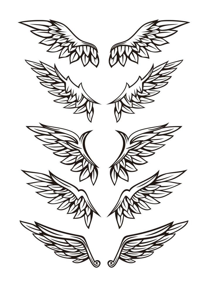 Illustration des Flügelsammlungssatzes vektor