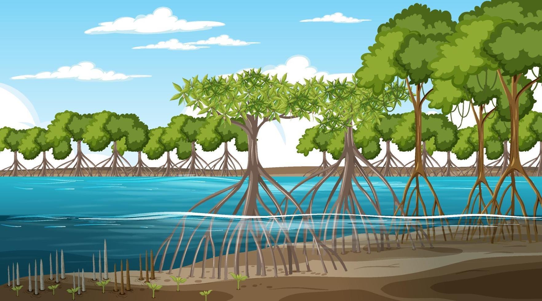Mangrovenwaldlandschaftsszene tagsüber mit vielen verschiedenen Tieren vektor