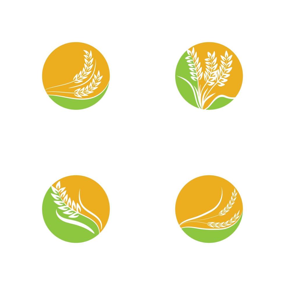 Landwirtschaft Weizen Logo Vorlage Vektor Icon Design