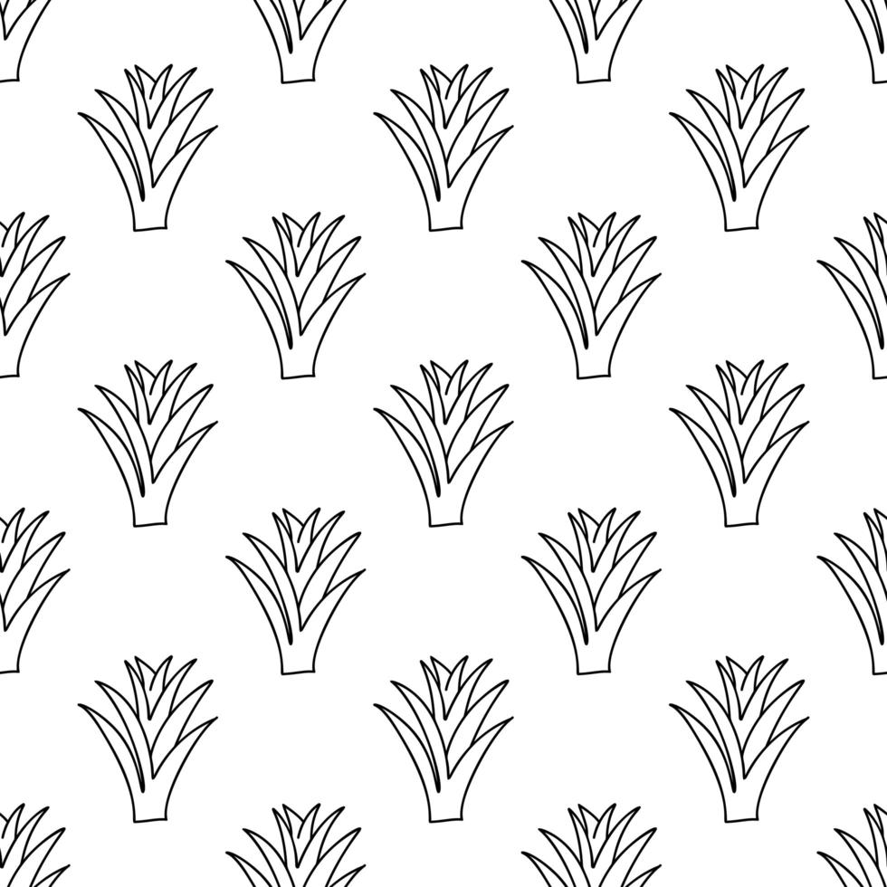 Doodle Aloe Vera Pflanze. nahtloses Blumenmuster. isoliert auf weiß vektor