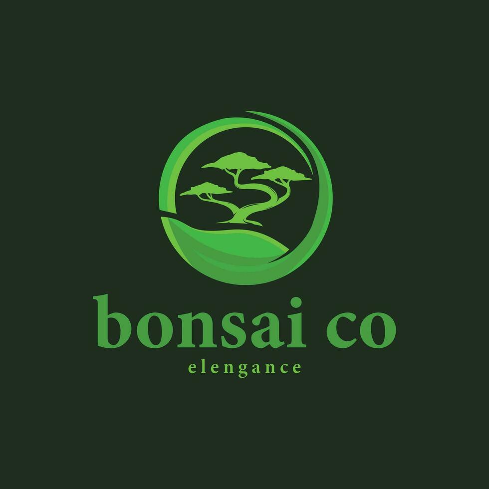årgång bonsai träd logotyp vektor cirkel emblem, bonsai design illustration för dekoration, bonsai ikon för företag branding