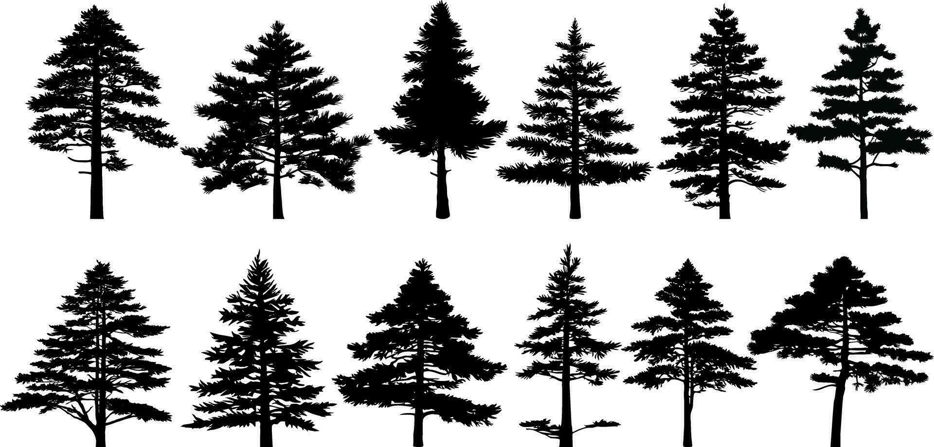 samling av silhuetter av tall träd. vektor illustration.