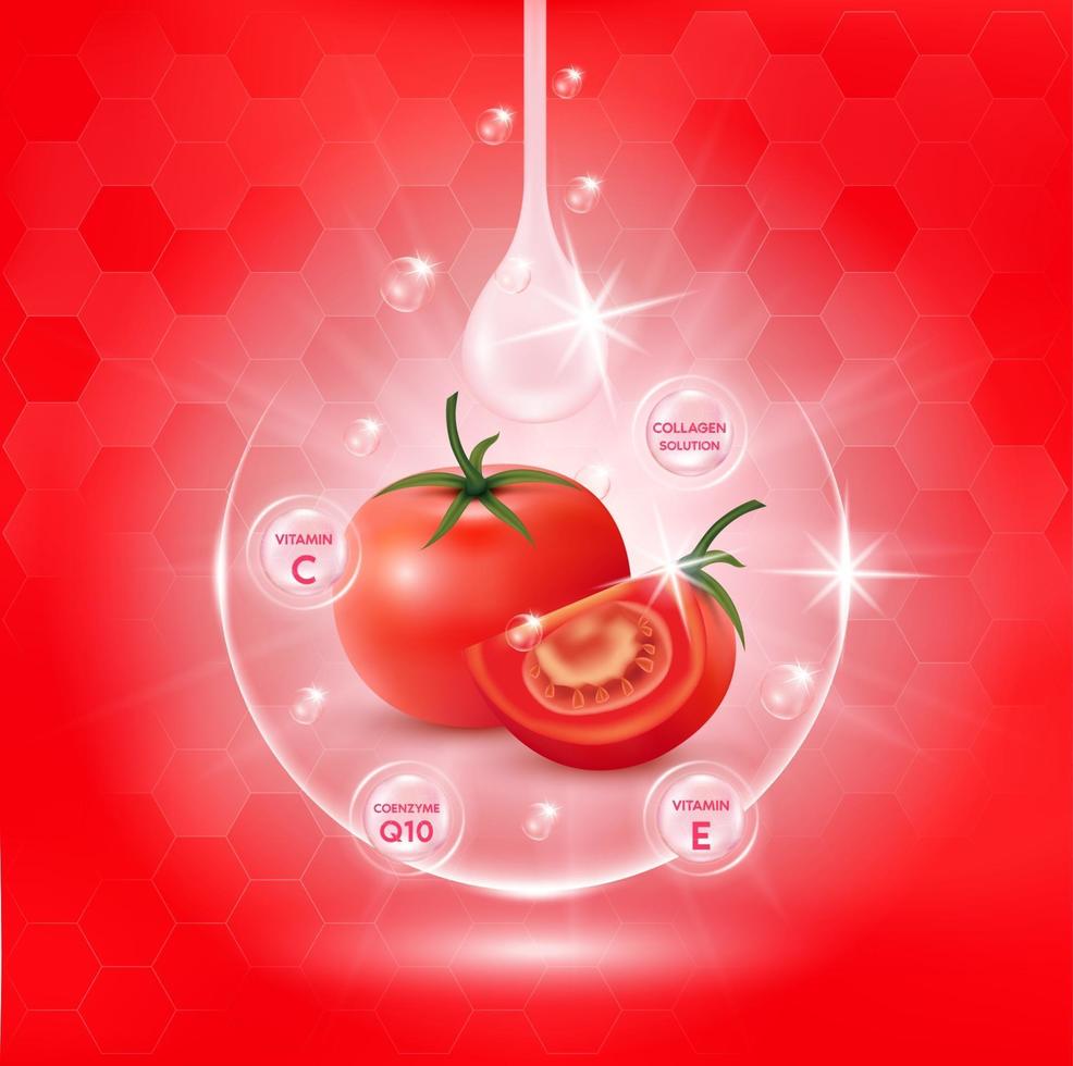 Tomaten-Weißkörper-Serum, extrahieren Kollagen und Vitamin. Hautpflegecreme vektor