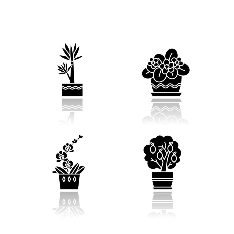 dekorative Zimmerpflanzen Schlagschatten schwarze Glyphe Icons Set vektor