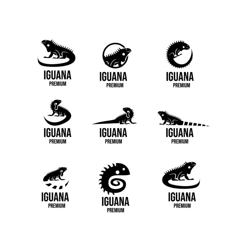 set samling iguana logotyp ikon design illustration vektor