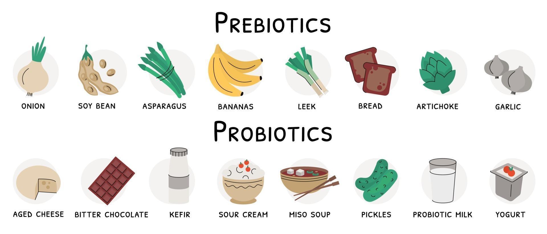 källor till prebiotika och probiotika vektor