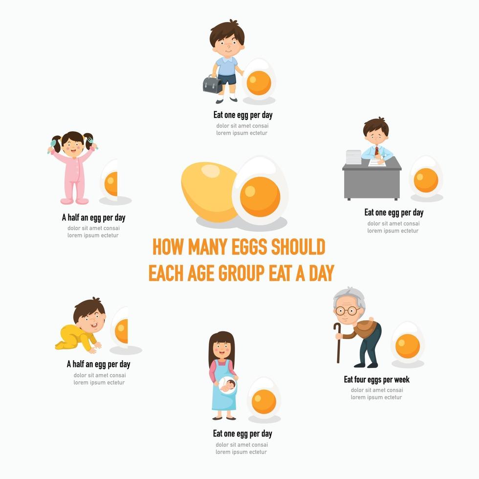 wie viele eier sollte jede altersgruppe pro tag essen infografik vektor