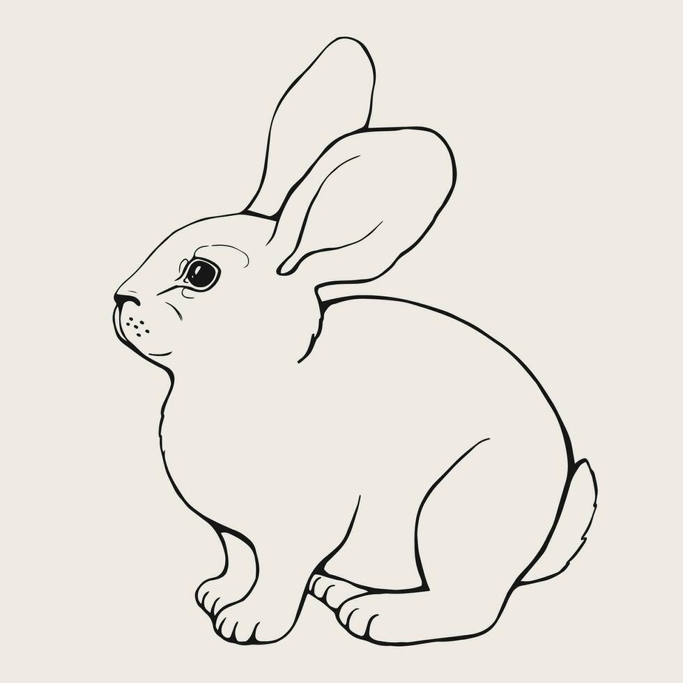 Hand gezeichnet Grafik Silhouette von ein Hase. Vektor Gliederung Illustration.