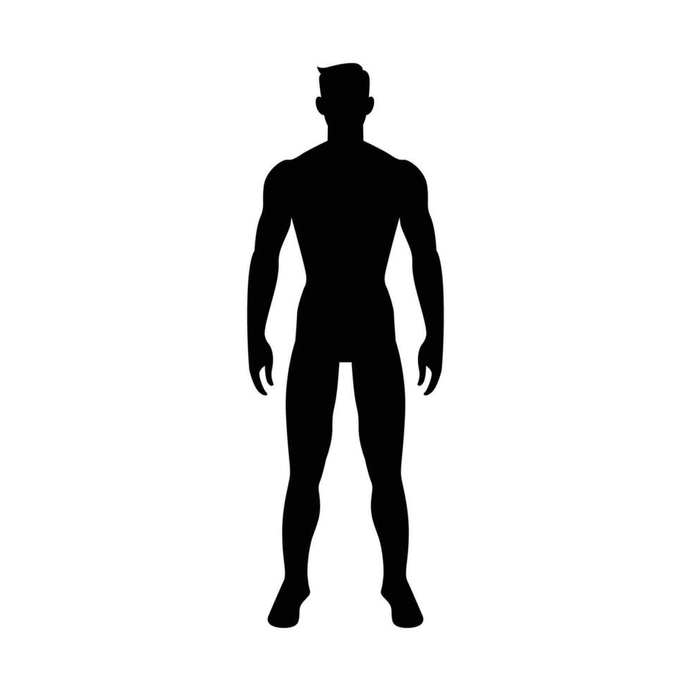 flache Vektorflachillustration des Körpermassenindex lokalisiert auf weißem Hintergrund. bmi männliche Silhouette von untergewichtig bis extrem fettleibig. verschiedene Männerkörper mit unterschiedlichem Gewicht vektor