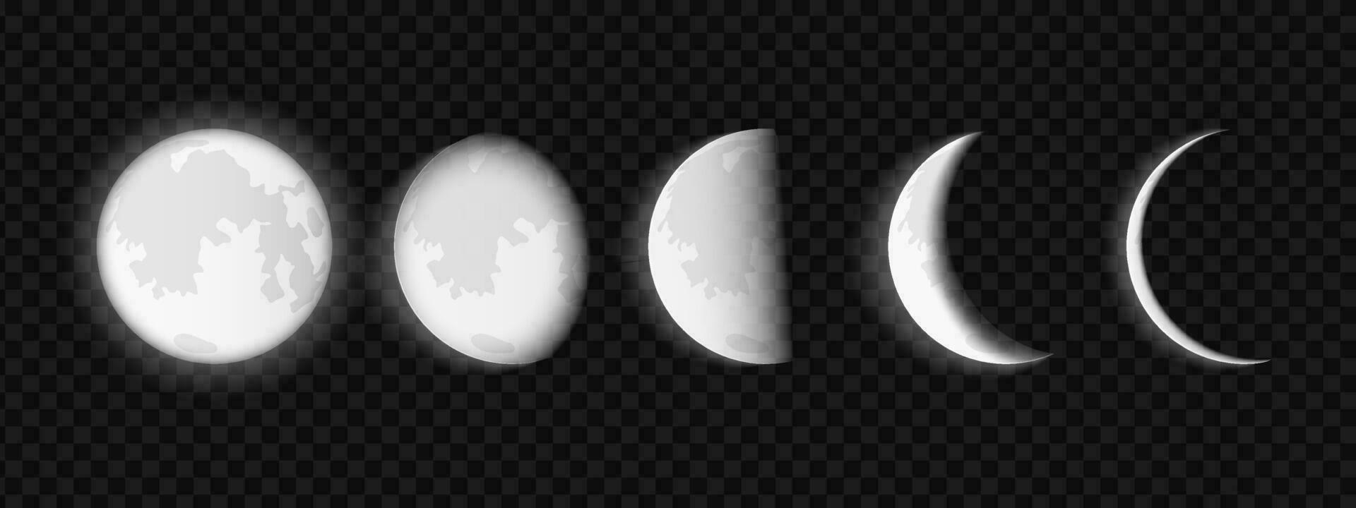 Mond- Phasen isoliert. Mond Wachstum und Finsternis Fahrräder mit voll kreisförmig Sichtweite zu Halbmond astrologisch Kalender von magnetisch Schwingungen und Vektor Ernte.