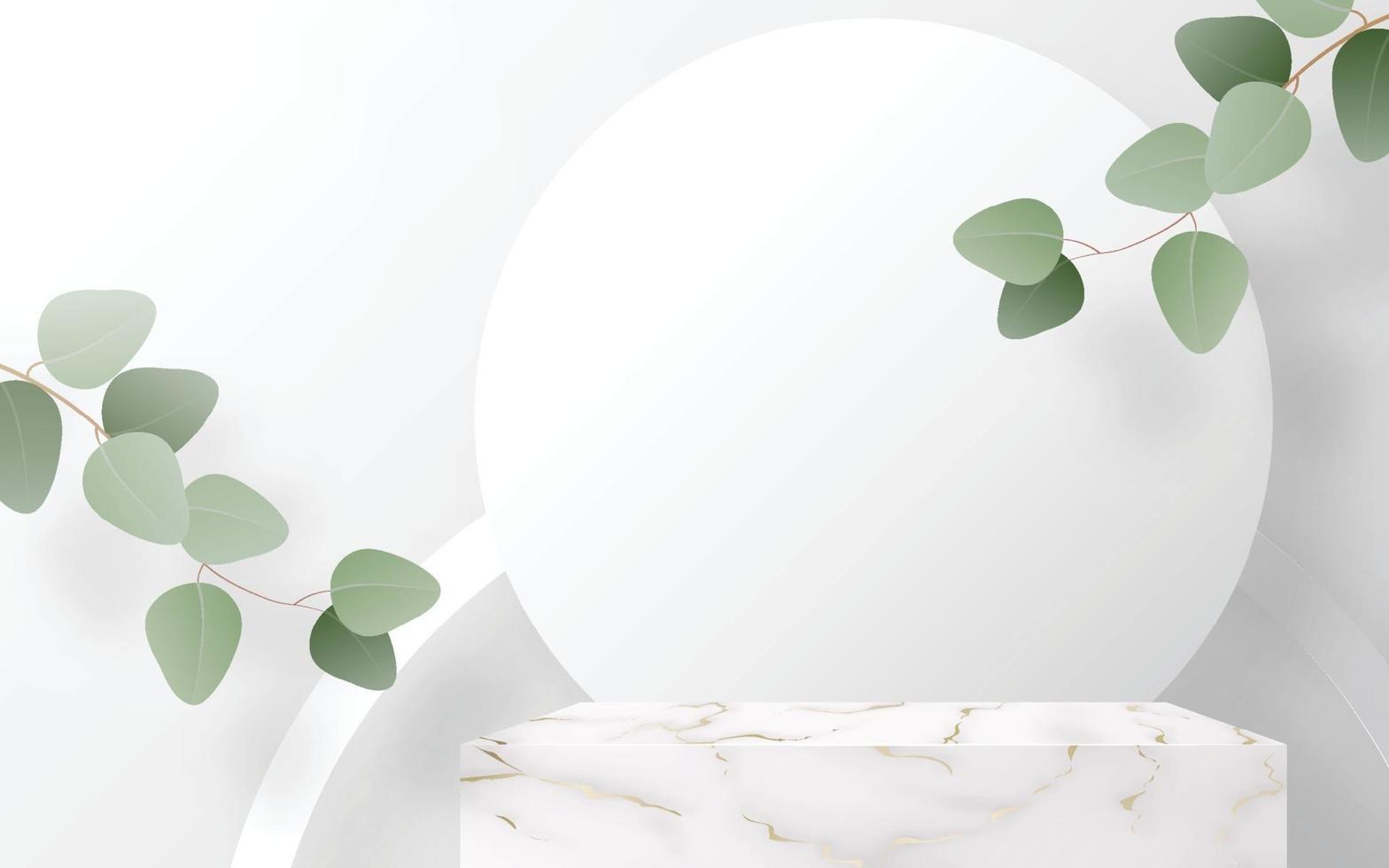 3D -bakgrundsprodukter i marmor med podium med eukalyptusblad vektor