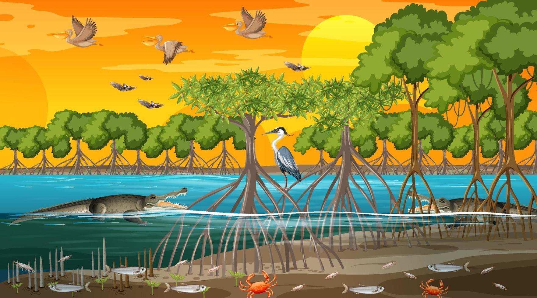 Mangrovenwaldlandschaft bei Sonnenuntergang mit vielen verschiedenen Tieren vektor