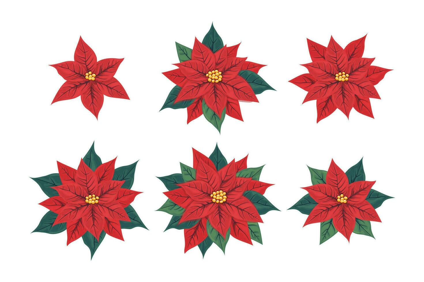 julstjärna blomma uppsättning. olika blomställningar av pulcherrima med röd och grön löv. symbol av jul och ny år. vektor illustration.