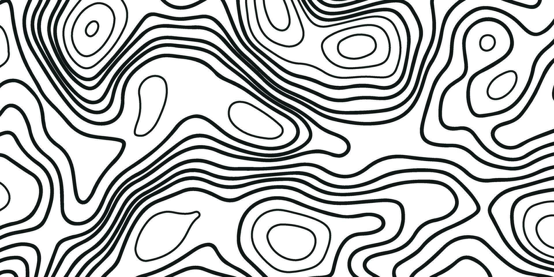 vit bakgrund med svart linje. bakgrund av de topografisk Karta vektor