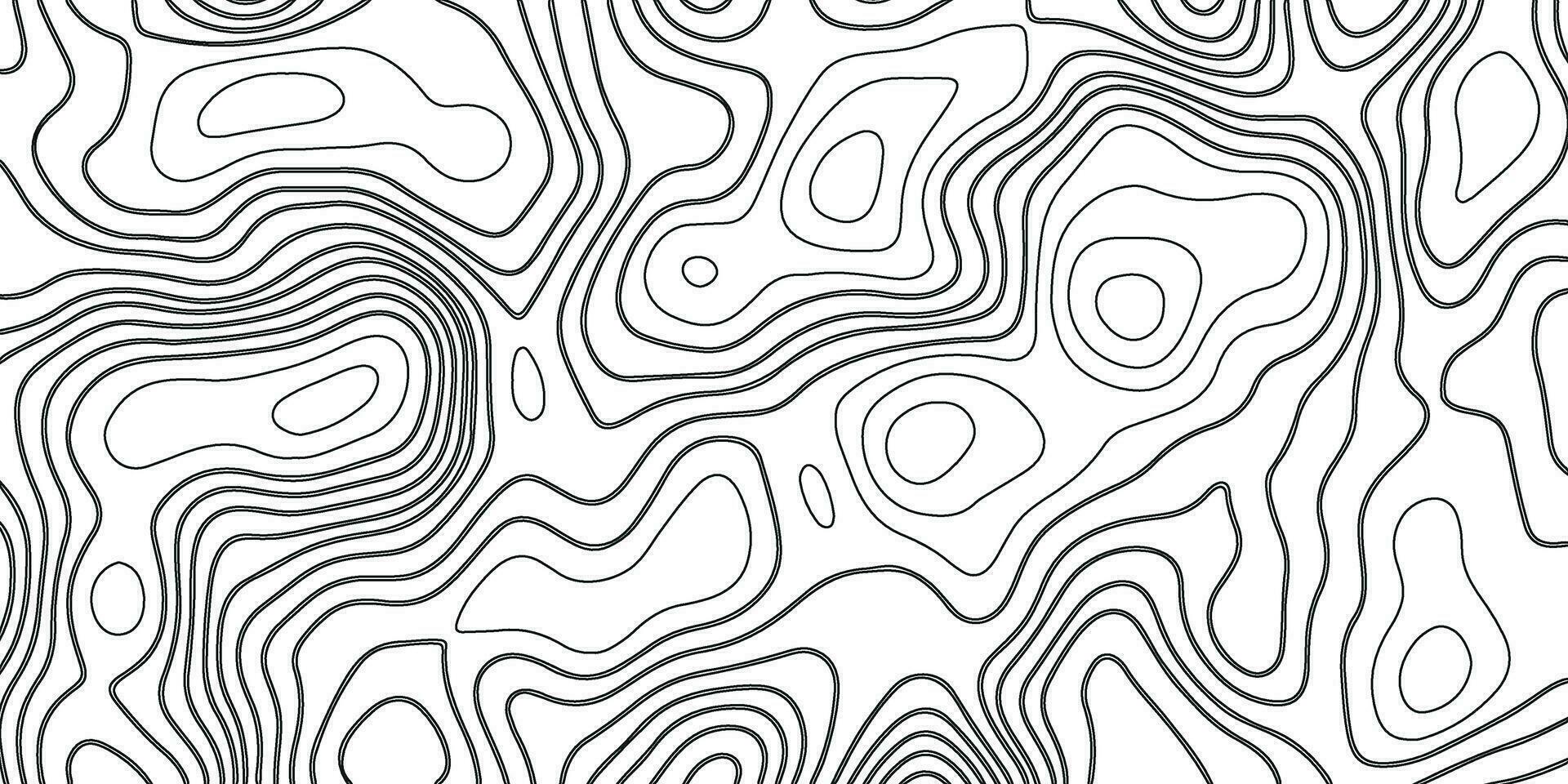 topografisk bakgrund. grå och vit abstrakt bakgrund med vågig rader. svart och vit mönster av rader och kurvor. topografisk topografi vektor