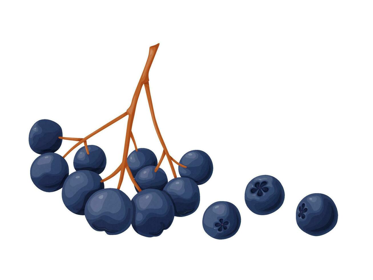 Blau Apfelbeere Beere im Karikatur Stil. Pflanze Essen Produkte. vektor