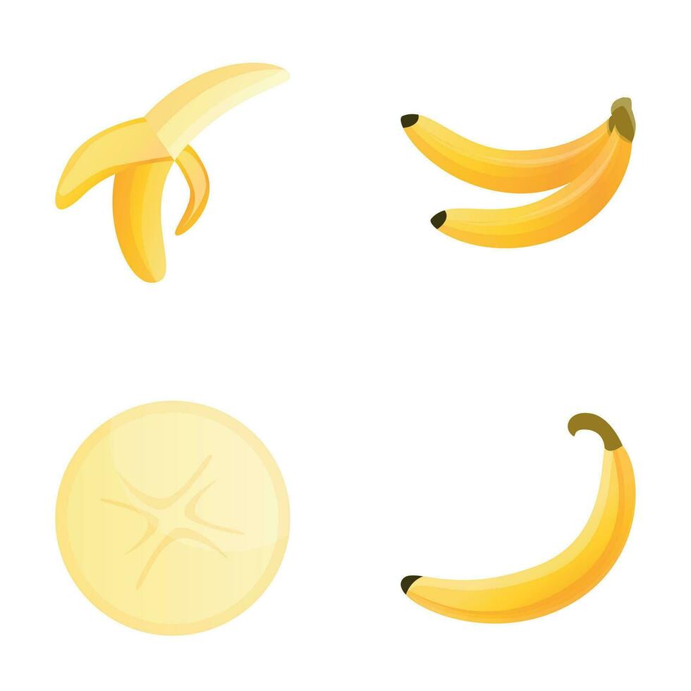 Banane Symbole einstellen Karikatur Vektor. reif exotisch Obst vektor