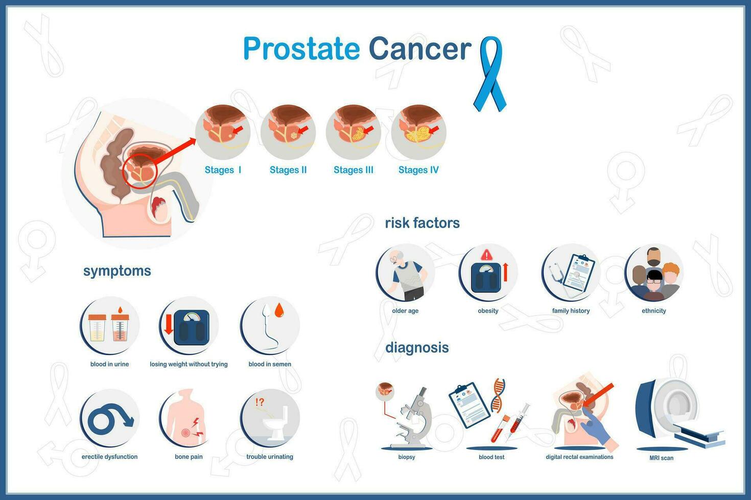 eben Vektor Konzept medizinisch Infografik Illustration von Prostata Krebs.Staaten von Prostata Krebs, Symptome, Risiko Faktoren und Diagnose von Prostata Krebserkrankungen.isoliert auf Weiß Hintergrund.