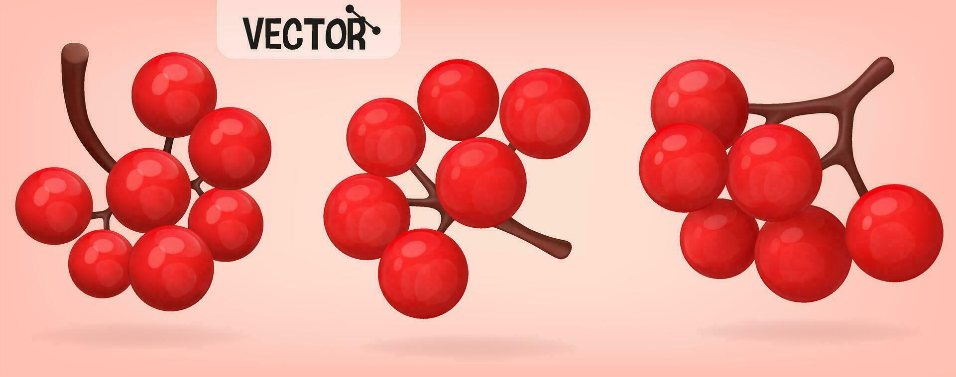 höst ikoner uppsättning. knippa av röd rönn bär isolerat på rosa bakgrund. vektor illustration i 3d stil.