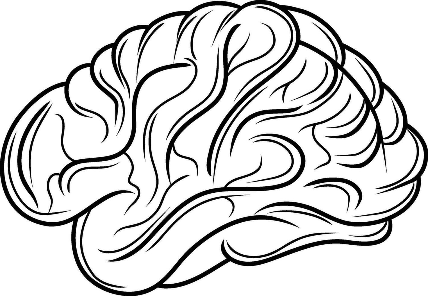 einfach Zeichnung von Mensch Gehirn Clip Art vektor