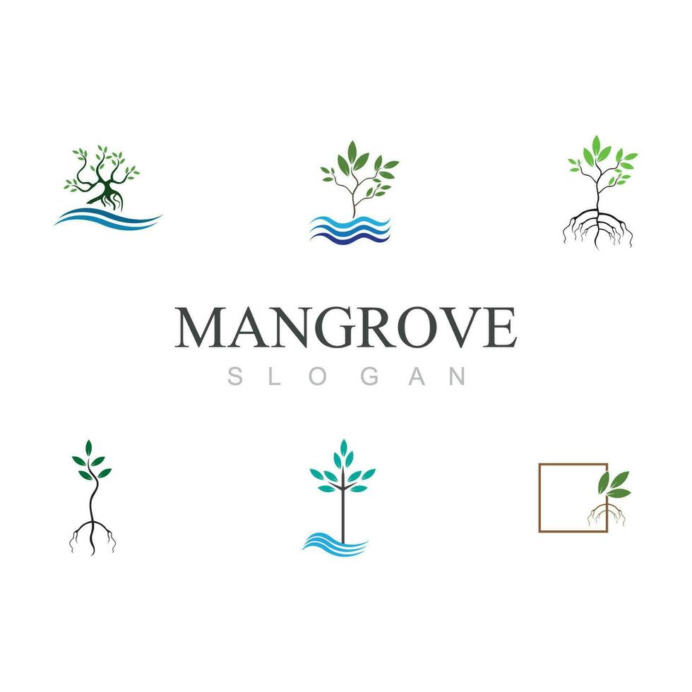 Mangrove Logo Symbol vektor