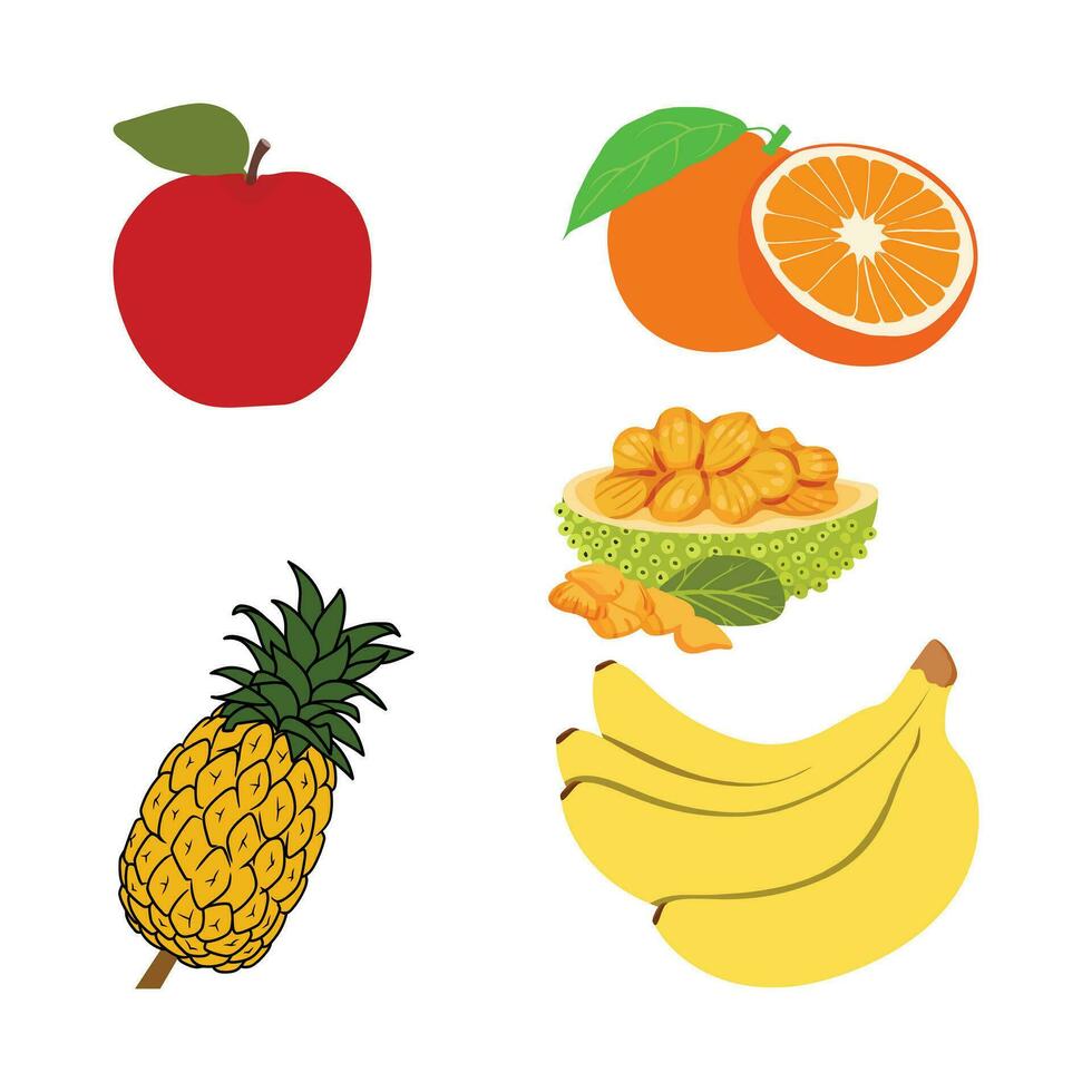 uppsättning av vektor illustrationer av frukter.