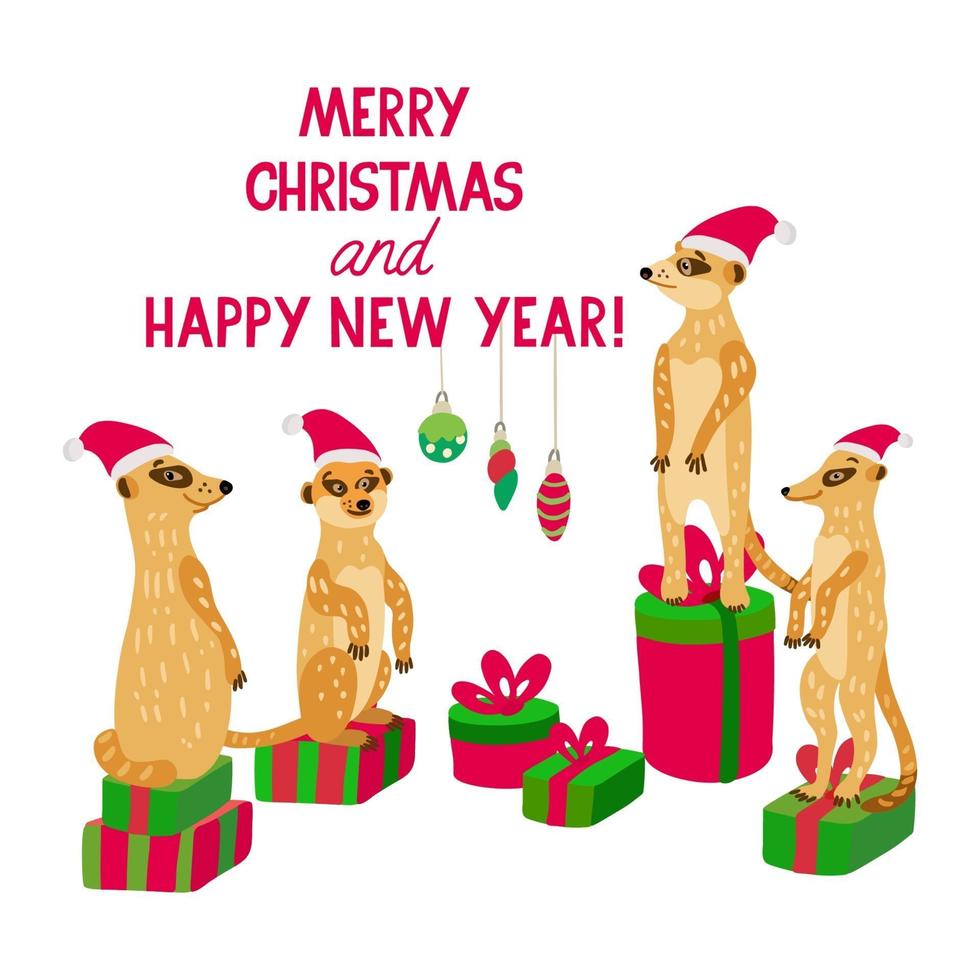 Eine glückliche Erdmännchenfamilie mit Weihnachtsmützen steht auf Geschenkboxen vektor