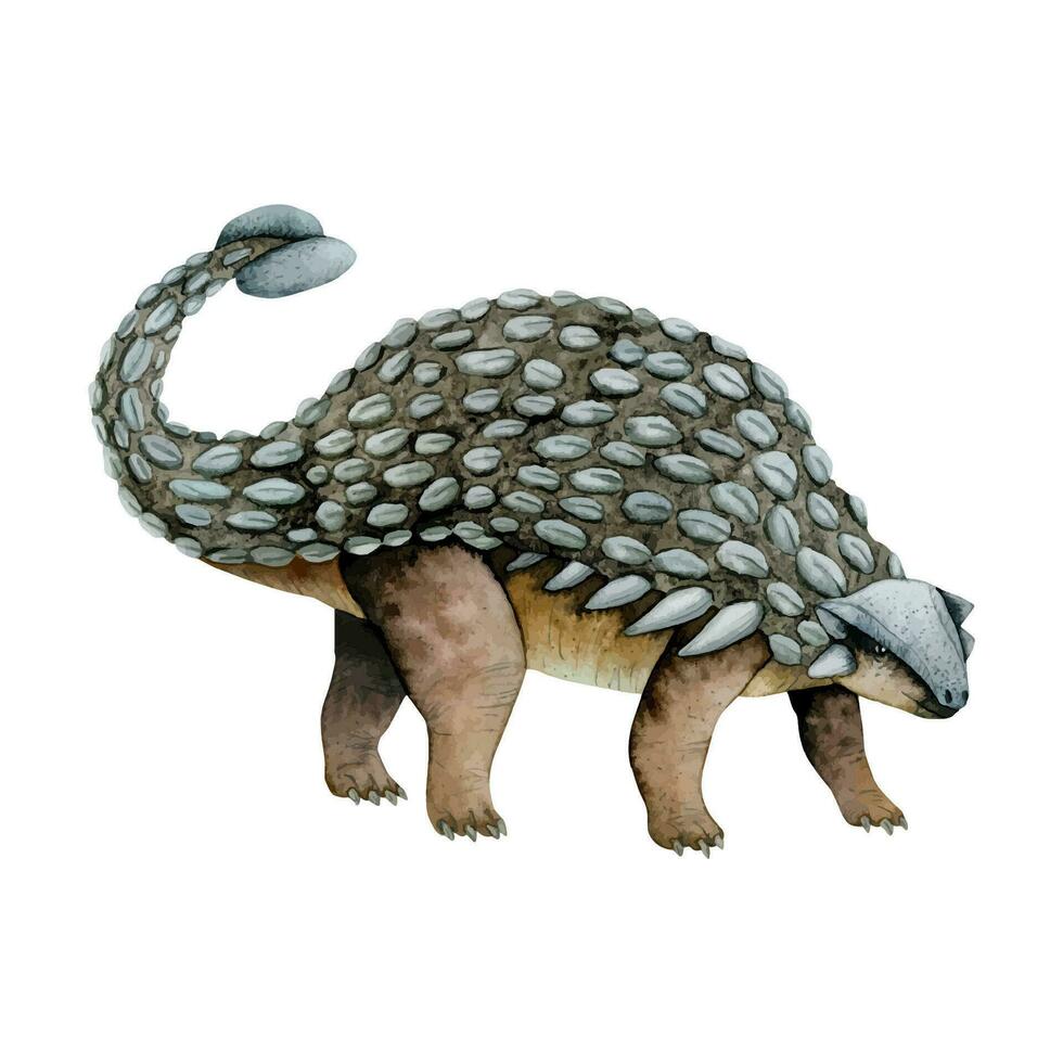 Hand gezeichnet braun grau Aquarell Ankylosaurus Dinosaurier Vektor Illustration. prähistorisch pflanzenfressend Tier von Kreide-