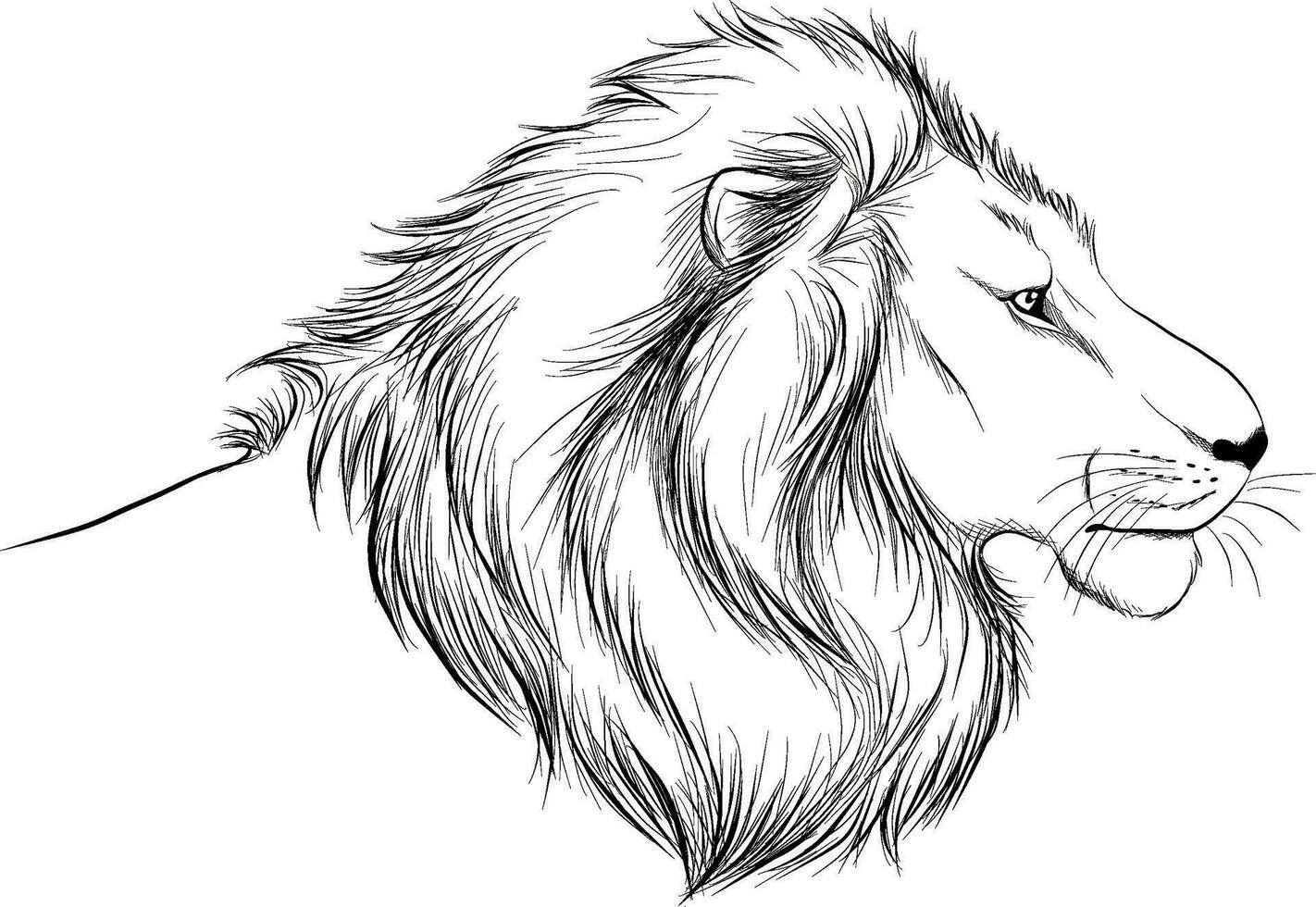 illustration av en lejon vektor