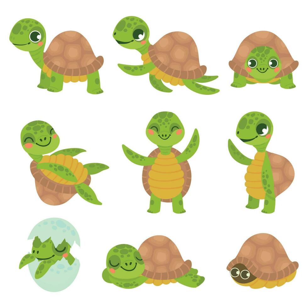 Karikatur lächelnd Schildkröte. komisch wenig Schildkröten, Gehen und schwimmen Schildkröte Tiere Vektor einstellen