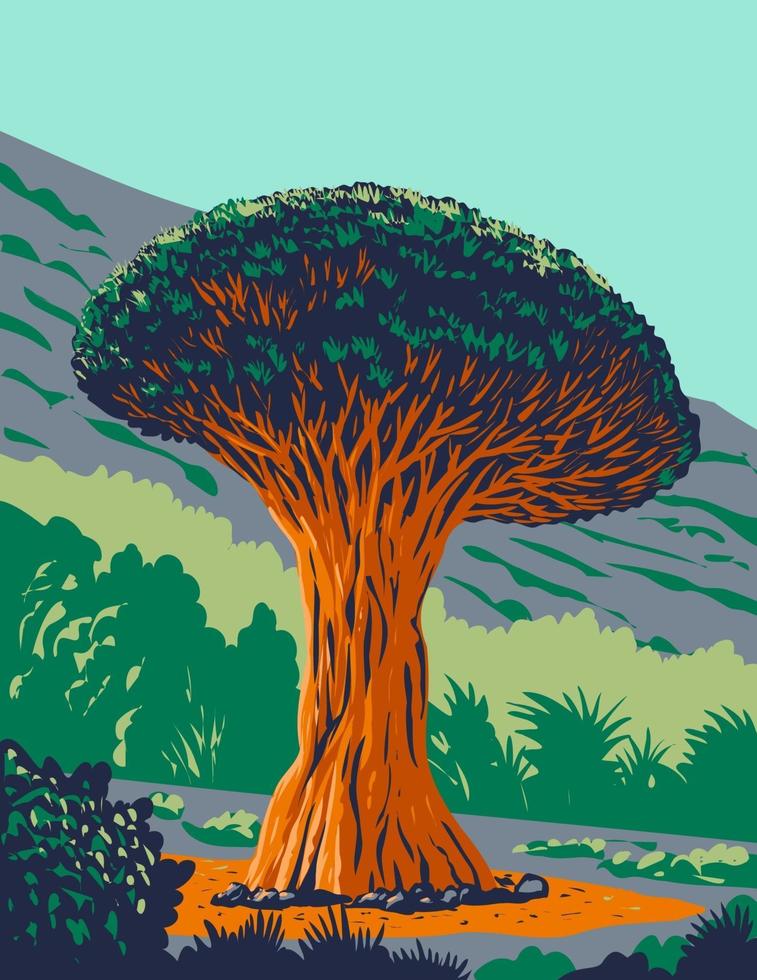 el drago milenarioor dragon tree in tenerife spanien wpa poster art vektor