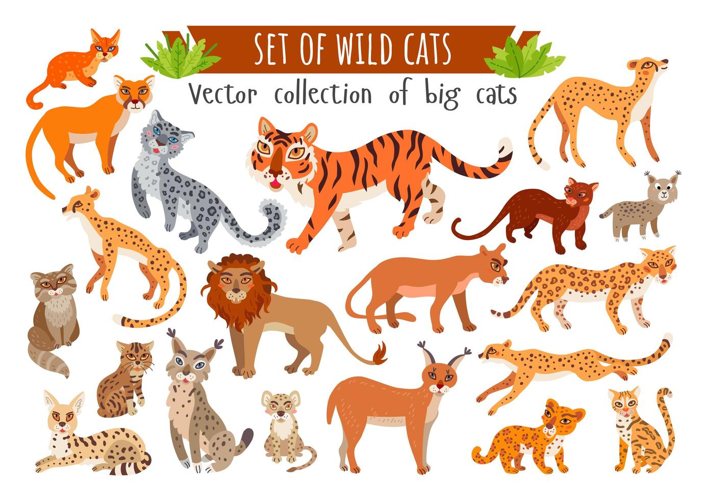 Reihe von Wildkatzen. exotische tiere der vektorkarikatur vektor