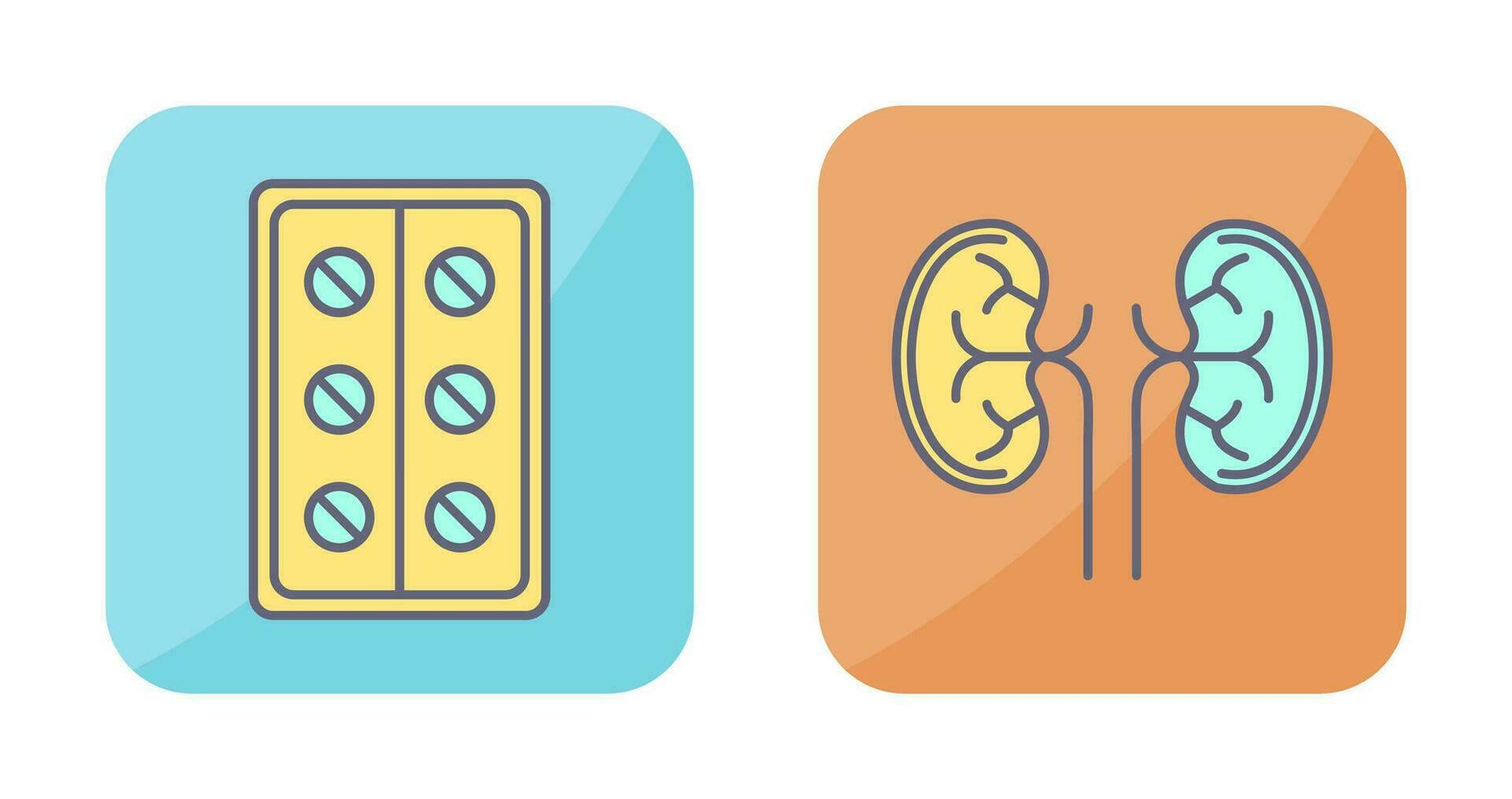 Tabletten und Niere Symbol vektor