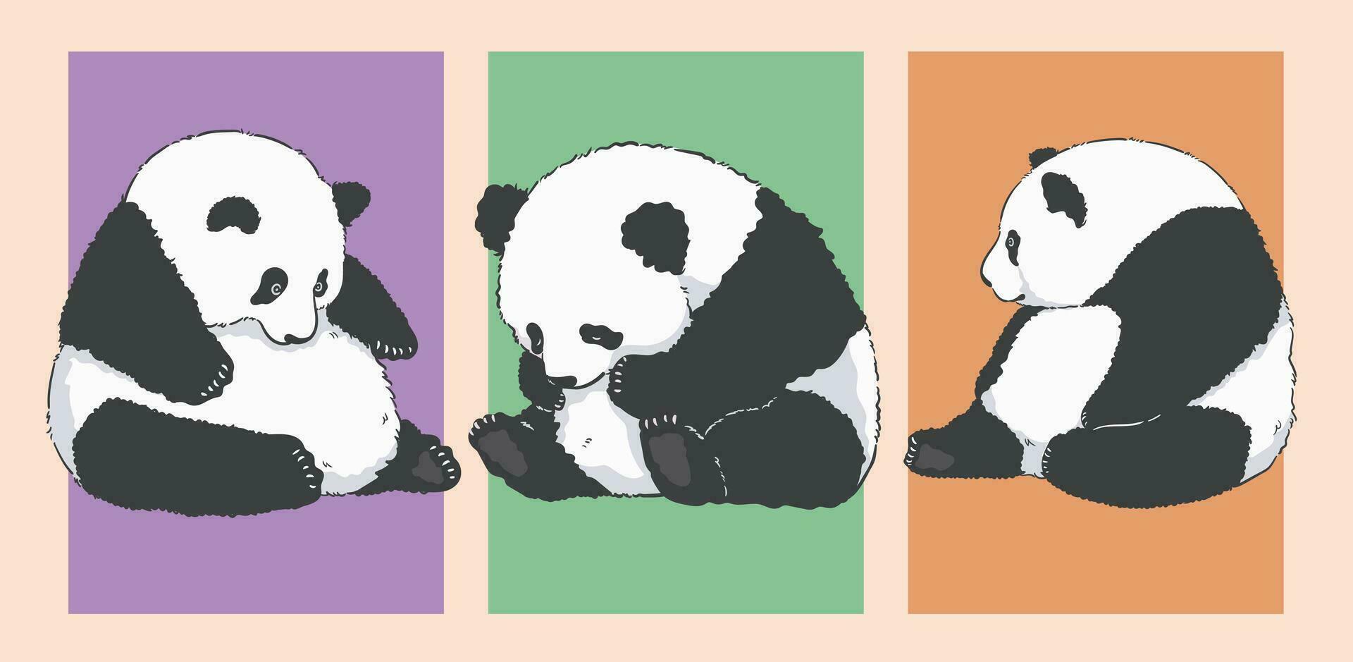 knubbig Sammanträde panda illustrationer , söt tecknad serie uppsättning vektor