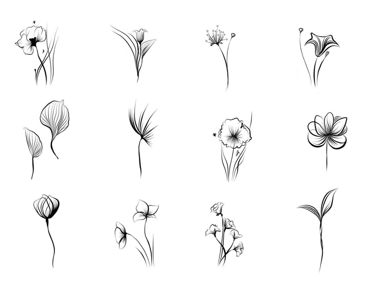 Linie Zeichnung Blumen- Elemente mit Blätter vektor