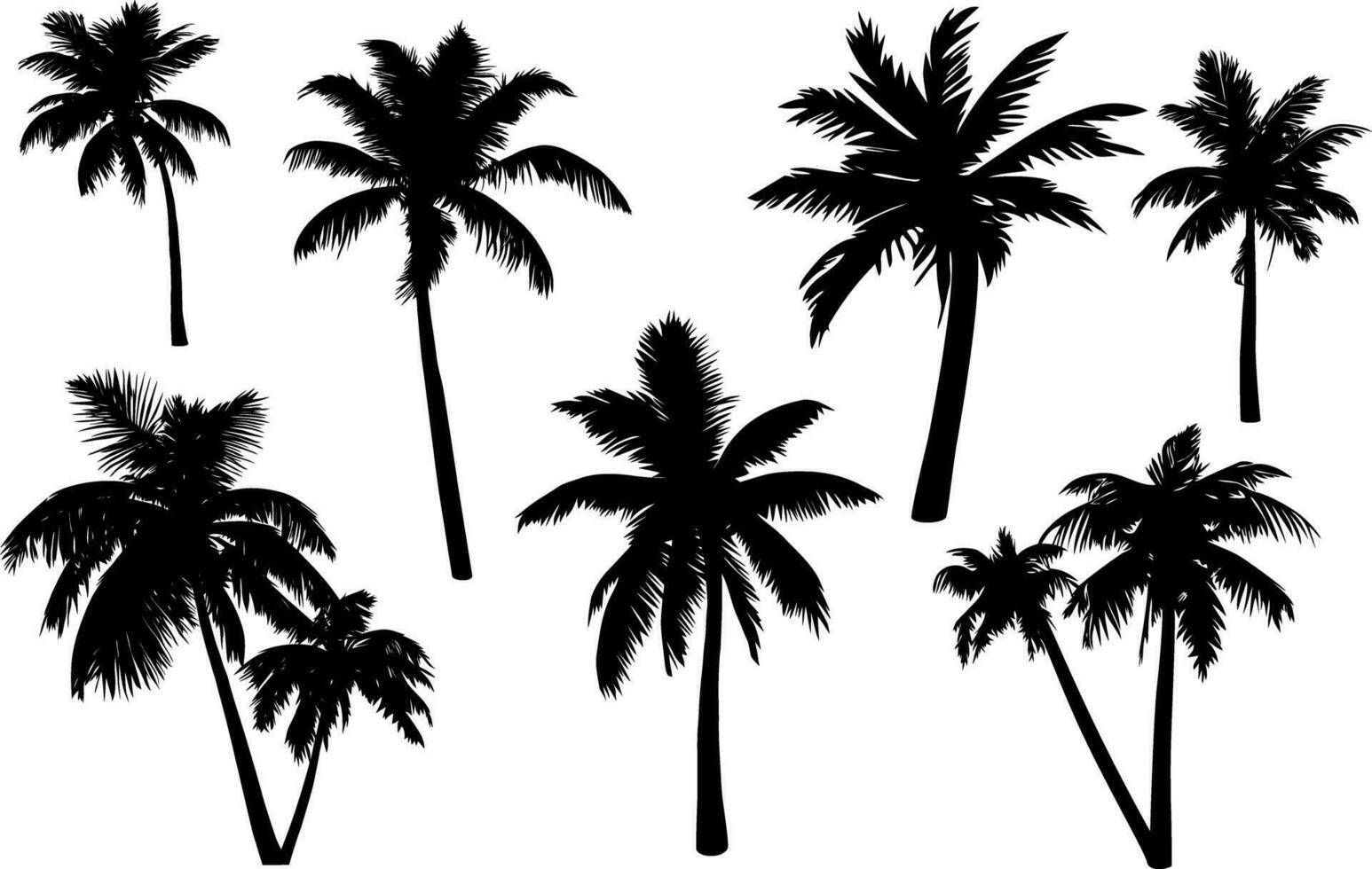 einstellen von Palme Bäume Silhouette isoliert auf Weiß Hintergrund. Vektor Illustration.